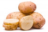 Дрожжевые лепешки с картошкой и луком на сковороде