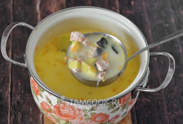 Суп из горбуши с плавленым сыром